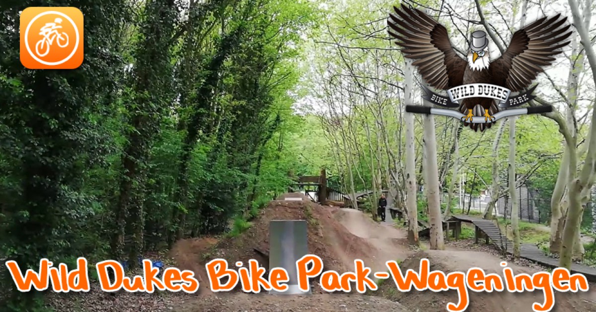 Wild dukes sale bike park